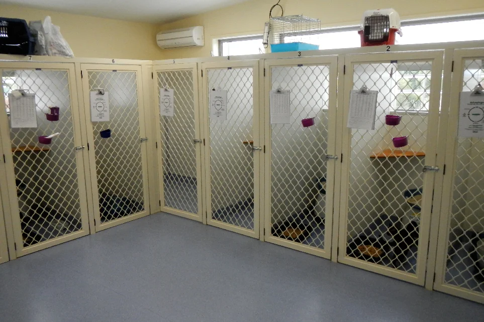 Cattery