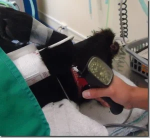 doppler blood pressures monitoring mcmaster heap