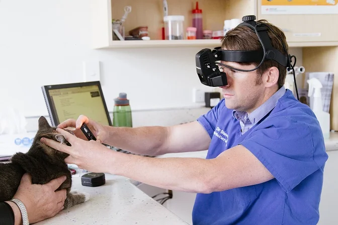 Ophthalmology