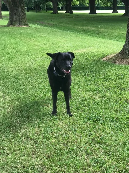 Lola in Park