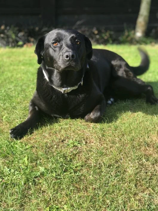 Lola in Park 2