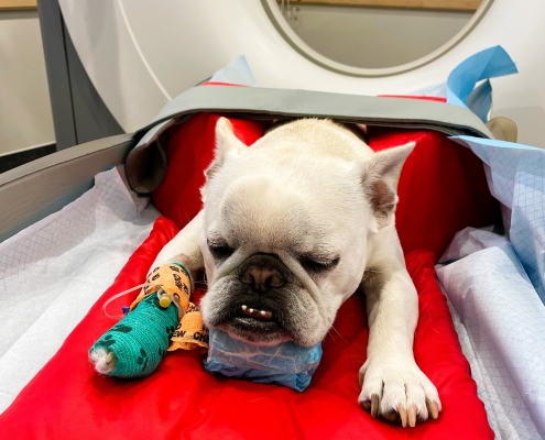 CT / MRI Referrals